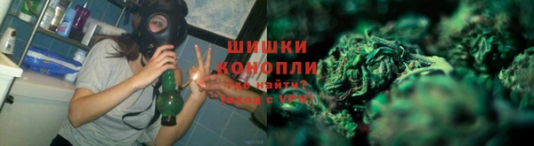 марки lsd Белокуриха