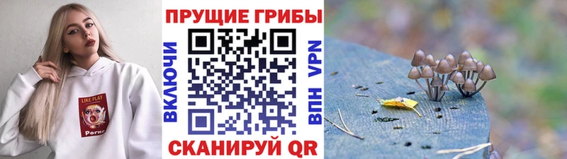 Псилоцибиновые грибы мицелий  Горнозаводск 